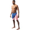 TYR Men's Star Spangled Jammer -Sportswear Sale 4510 11610 0700 609 zoom 03